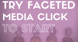 faceted media, marketing agency, Wordpress website builders, Best online marketing agency, Denver digital marketing agency, Google ads expert