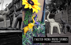 faceted media, channel your creativity, creative entrepreneurs, content creation, Web design denver co, Creative social media management company, content creators, Denver social media company, Denver marketing agency