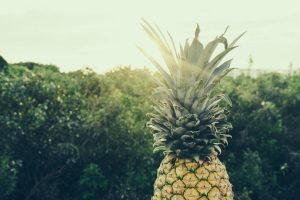 faceted media, how to start your own business, how to start your own marketing agency, Digital marketing agency denver co, founders story, Best online marketing agency