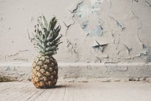 faceted media, how to start your own business, how to start your own marketing agency, Digital marketing agency denver co