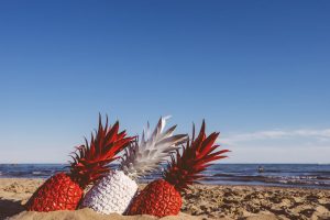 faceted media, how to start your own business, how to start your own marketing agency, Digital marketing agency denver co, founders story, Google ads advertising agency Denver, CO
