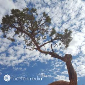 faceted media, vision quest, channel your creativity, creatives, creative entrepreneurs, denver startups, content creation, Denver social media company, Denver marketing company, Web design denver co