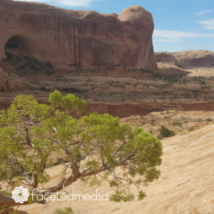 faceted media, vision quest, vision quest for entrepreneurs, marketing in Denver, Kimberly Hogate, creative ideas for business owners, denver social media company, seo company