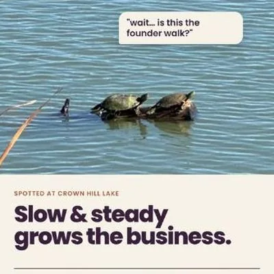 Slow and steady grows the business, turtles at Crown Hill Lake